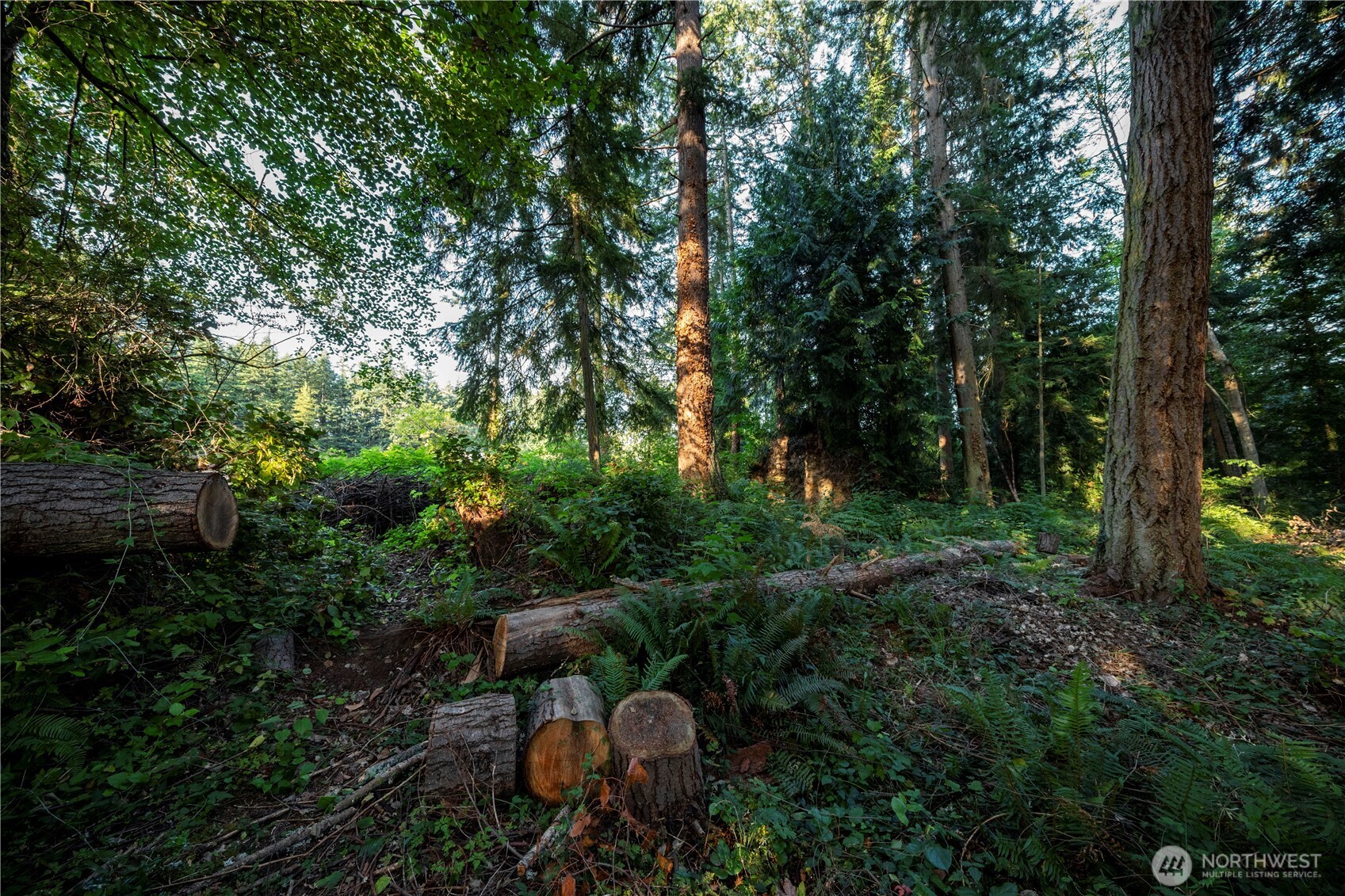 0 Ships Havens Drive