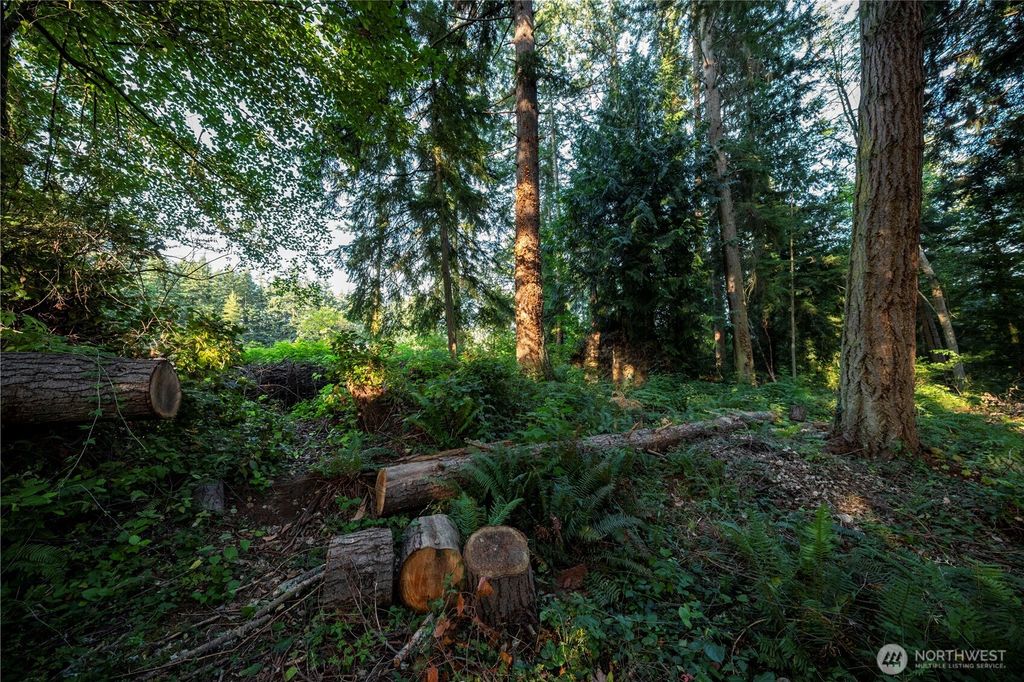 Photo of 0 Ships Havens Drive, Freeland, WA 98249 (MLS # 2483810)