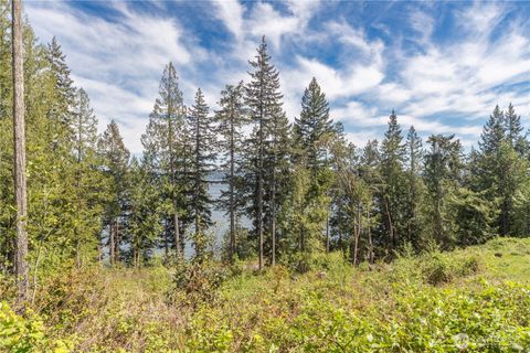 Photo of 155 Tog Road, Brinnon, WA 98320 (MLS # 2514302)