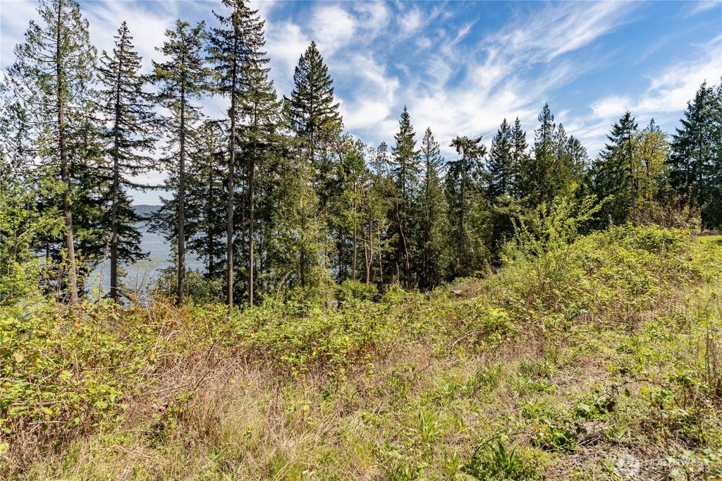 Photo of 155 Tog Road, Brinnon, WA 98320 (MLS # 2514302)