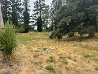 Photo of 1210 N 7th Avenue, Kelso, WA 98626 (MLS # 2533819)