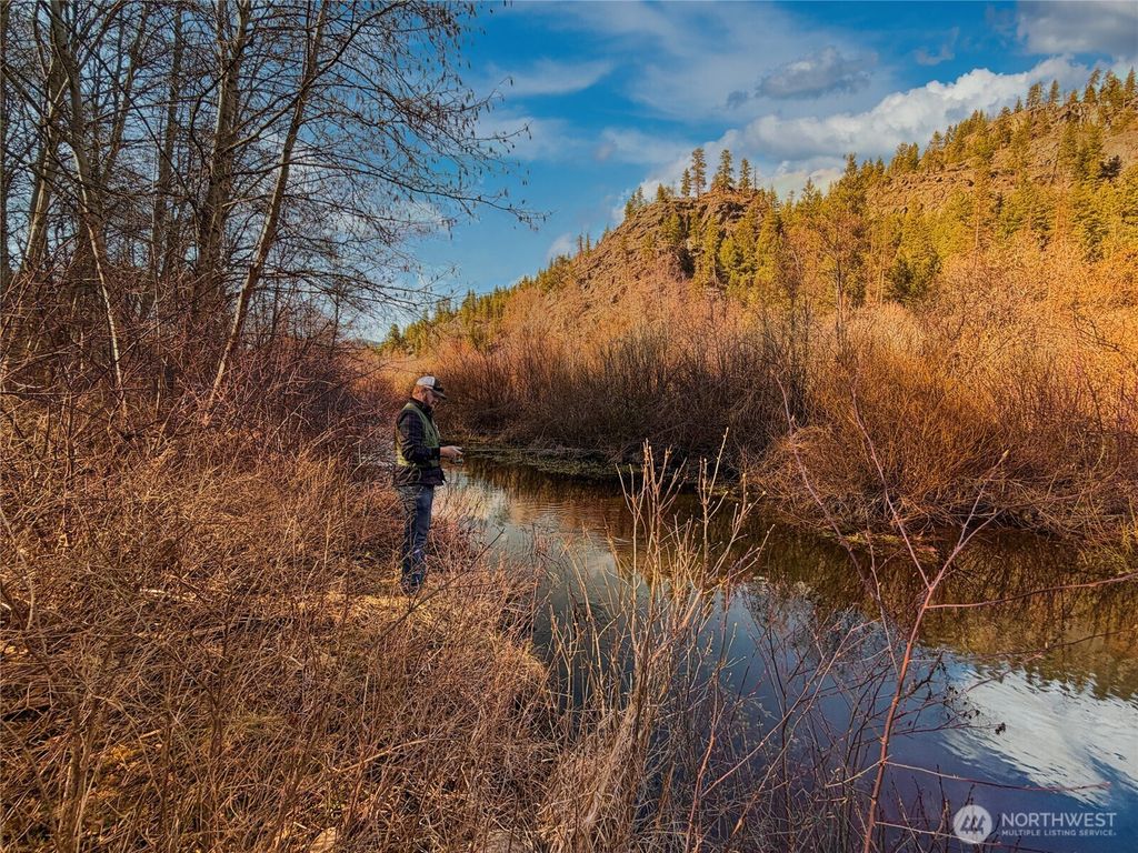 Photo of 1721 Aeneaws Valley Road, Tonasket, WA 98855 (MLS # 2500696)
