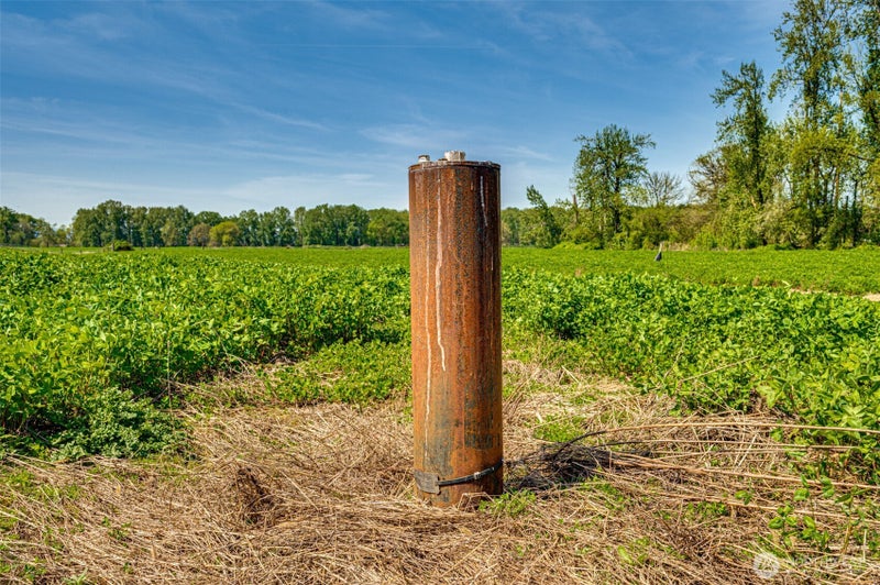 0 Whalen