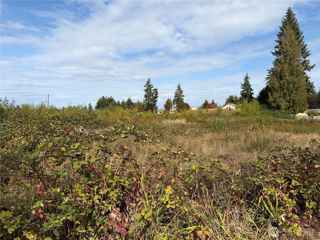 Photo of 17805 84th Avenue E, Puyallup, WA 98371 (MLS # 2588751)