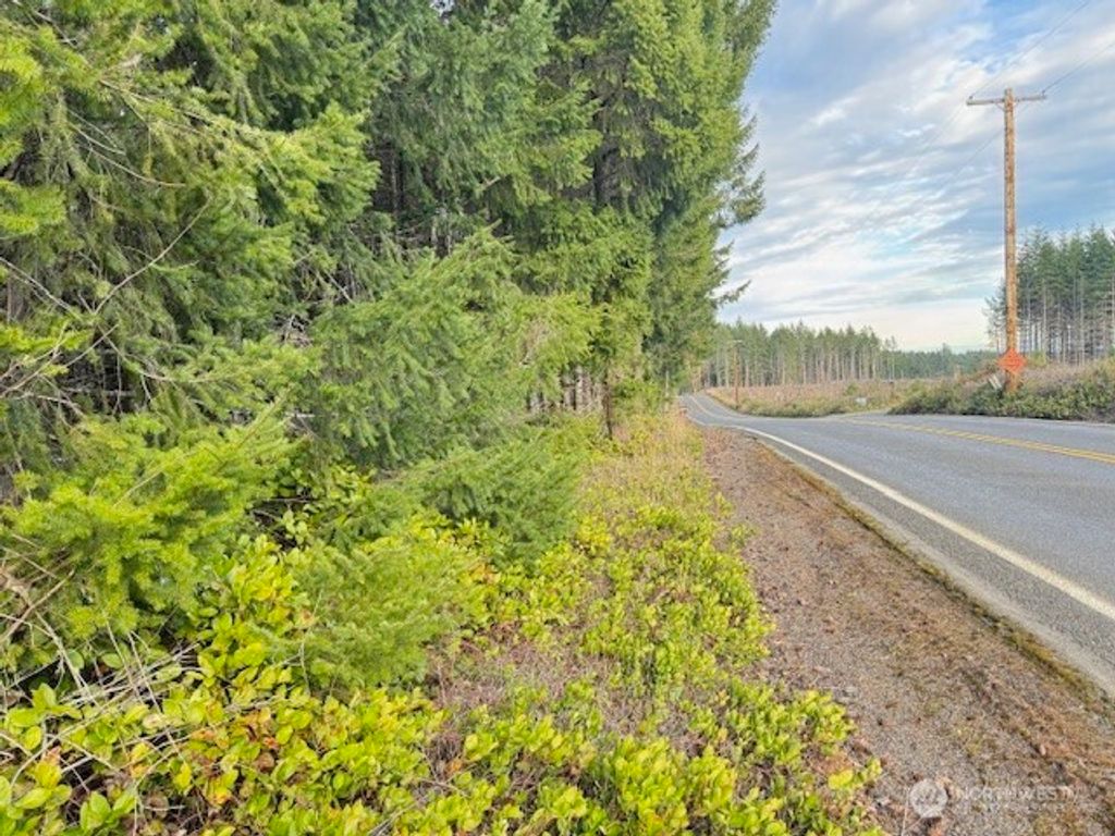 Photo of 3 Lot Brown Road, Adna, WA 98532 (MLS # 2495184)