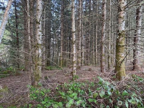 Photo of 3 Lot Brown Road, Adna, WA 98532 (MLS # 2495184)