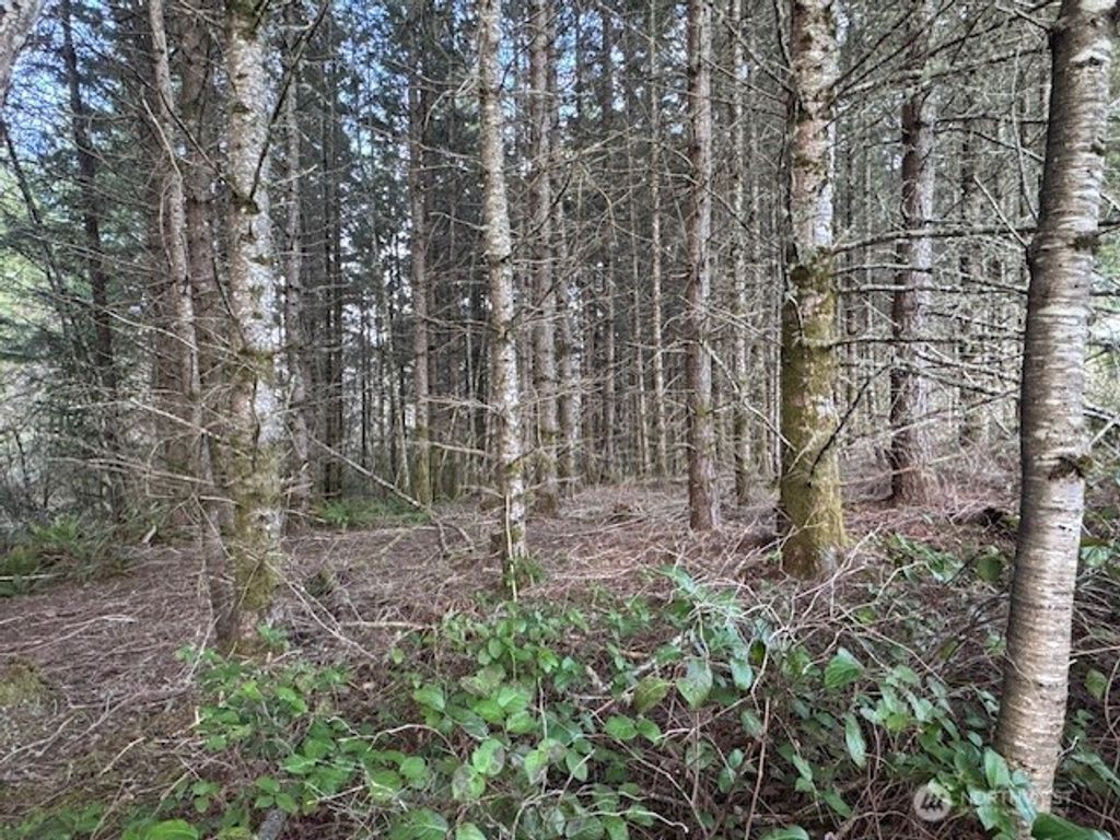 Photo of 3 Lot Brown Road, Adna, WA 98532 (MLS # 2495184)