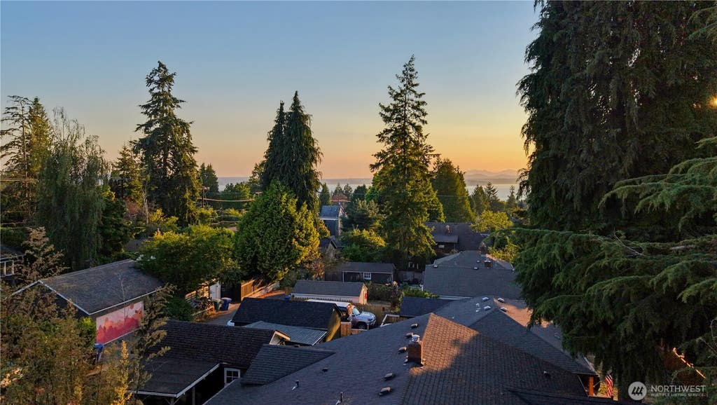 Photo of 4319 SW Mills Street, Seattle, WA 98136 (MLS # 2506010)
