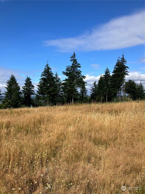 Photo of 5 E Lone Fir Drive Drive E #Div 2, Shelton, WA 98584 (MLS # 2268256)