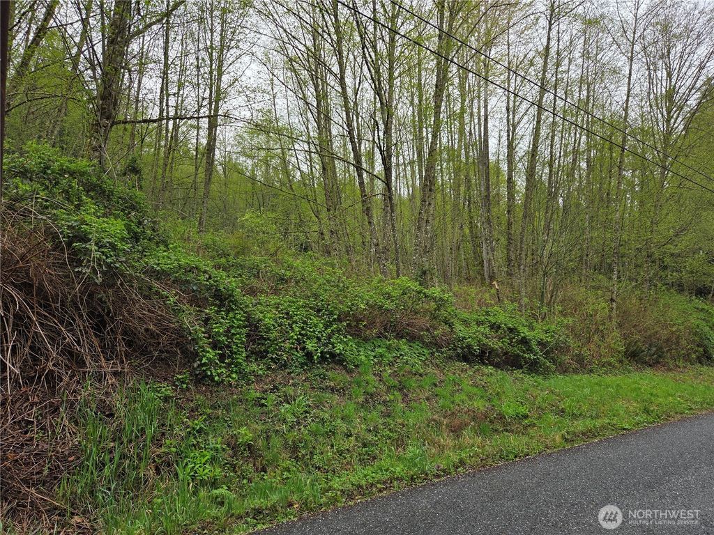 Photo of 18829 71st Drive NE, Arlington, WA 98223 (MLS # 2508871)