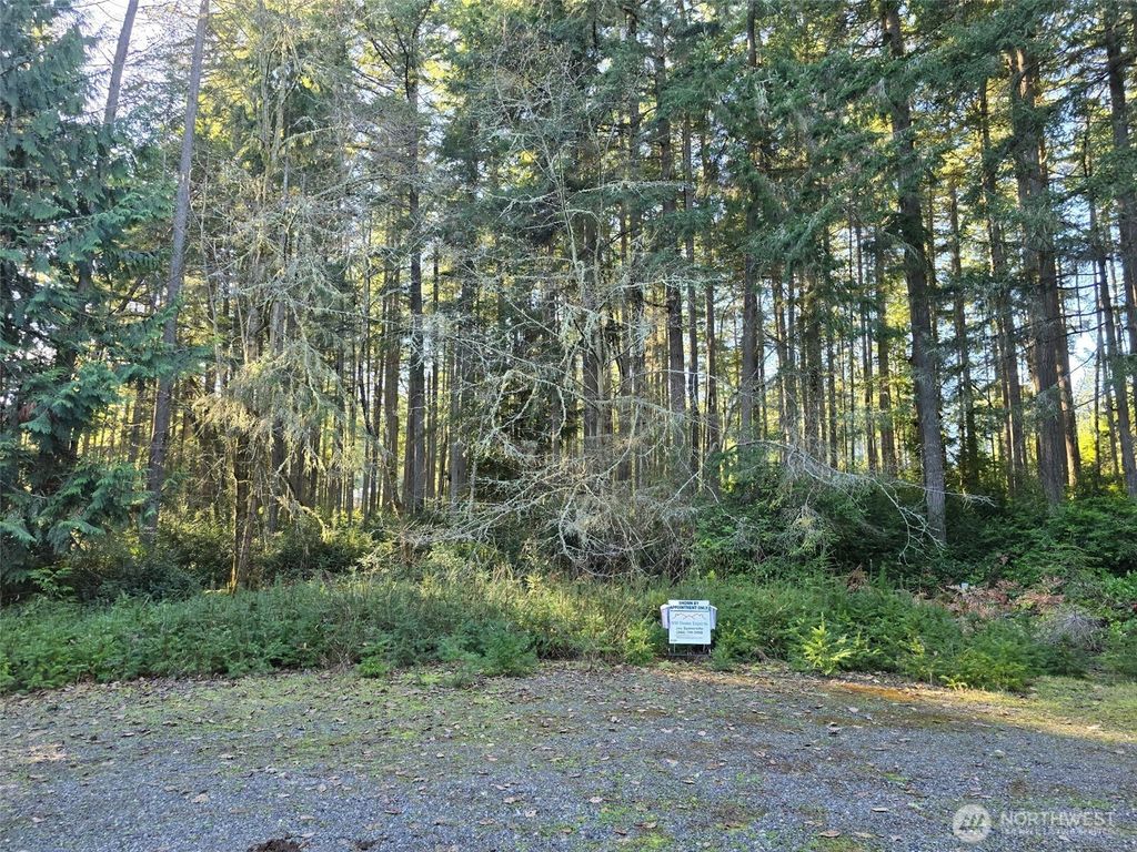 Photo of 11624 Mill Place, Anderson Island, WA 98303 (MLS # 2468773)