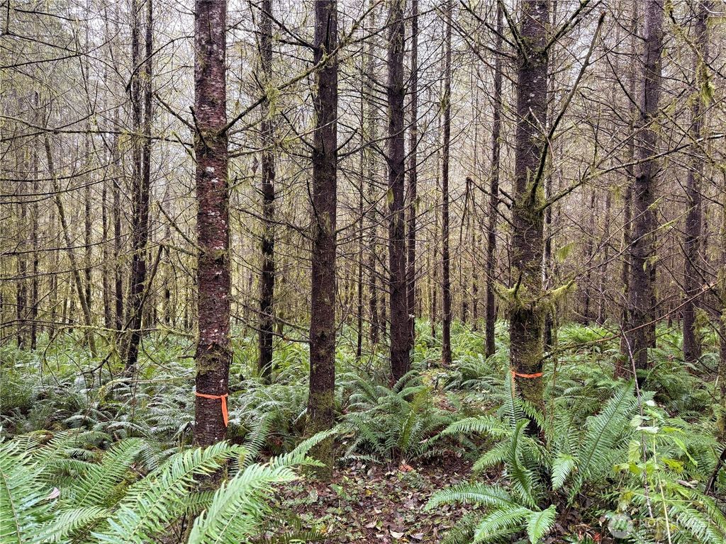 Photo of 50 x Winston Creek Road, Mossyrock, WA 98564 (MLS # 2465337)