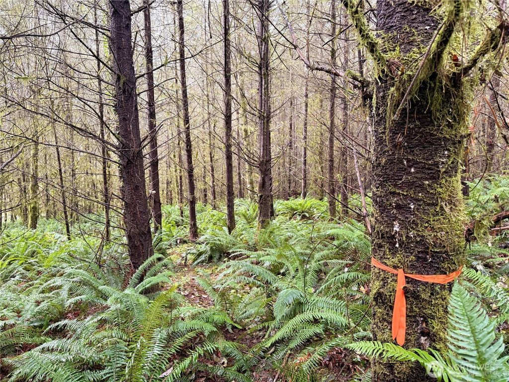 Photo of 50 x Winston Creek Road, Mossyrock, WA 98564 (MLS # 2465337)