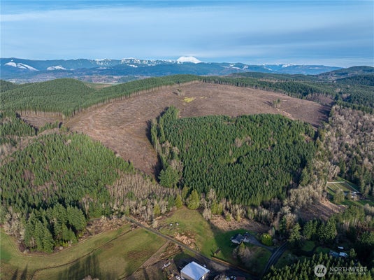 504-47 WINSTON CREEK RD, MOSSYROCK, WA 98564 - Image 6ebaf280084aa0ba3cb8b2af89da065f/924610075
