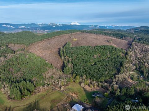 50 Winston Creek Road Mossyrock WA 98564