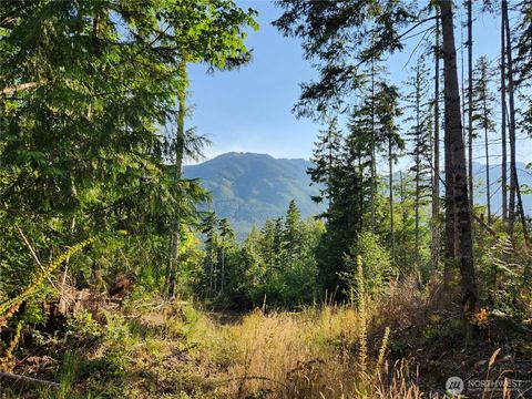 Photo of 0 Rocky Brook Rd #Lot I, Brinnon, WA 98320 (MLS # 2503983)