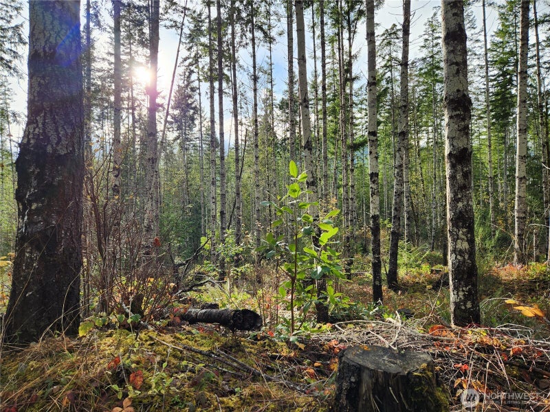 0 Rocky Brook Rd Lot I