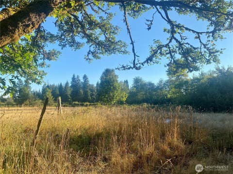 Photo of 3444 W Matlock-Brady Road, Elma, WA 98541 (MLS # 2554625)
