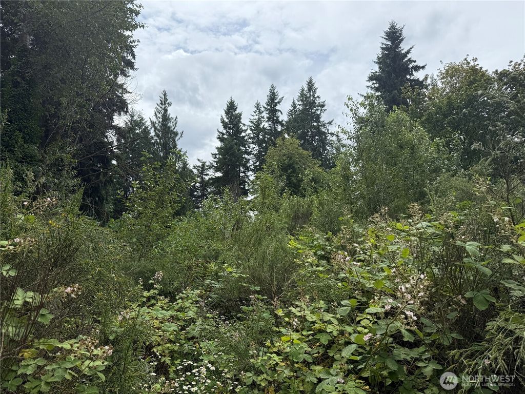 Photo of 3219 Auburn Way S, Auburn, WA 98092 (MLS # 2398822)