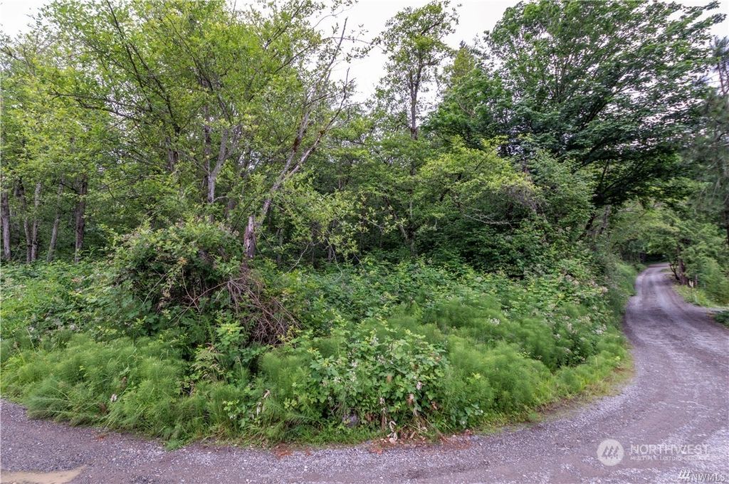 Photo of 0 XXX SE 164th Street, Issaquah, WA 98027 (MLS # 2036807)