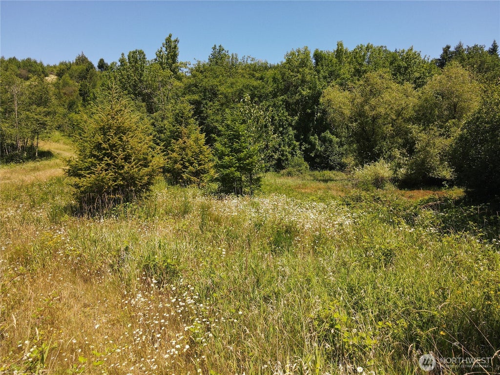 Photo of 150 Sawall Avenue, Centralia, WA 98531 (MLS # 2580464)