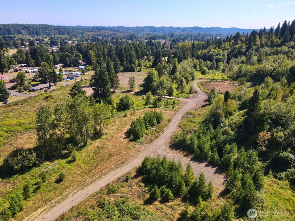 Photo of 150 Sawall Avenue, Centralia, WA 98531 (MLS # 2580464)