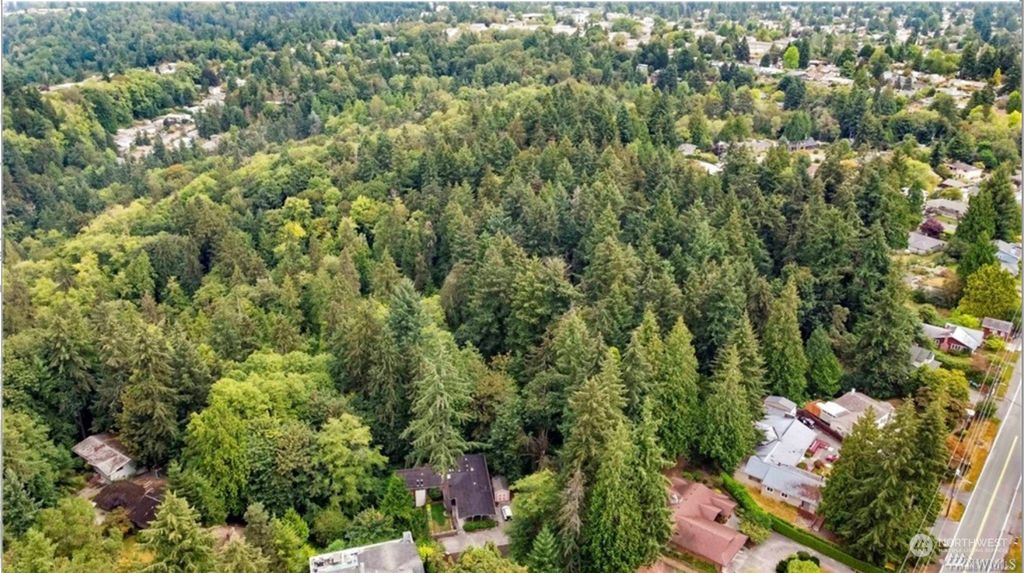 Photo of 14462 18th Avenue SW, Burien, WA 98166 (MLS # 2138318)