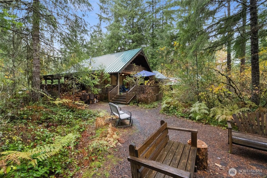 Photo of 113 Big Creek Road, Ashford, WA 98304 (MLS # 2446910)