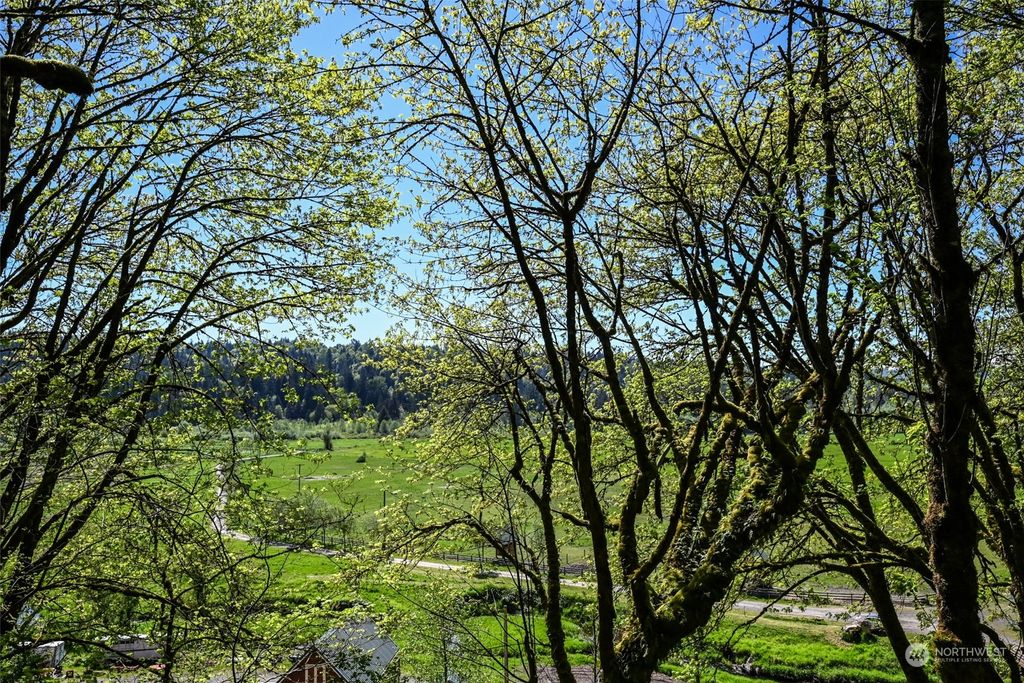 Photo of 29228 NE 173rd Street, Duvall, WA 98019 (MLS # 2232430)