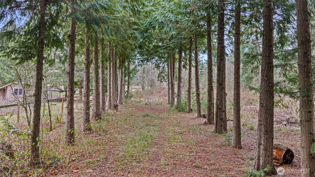 Photo of 7906 266th Street E, Graham, WA 98338 (MLS # 2476926)