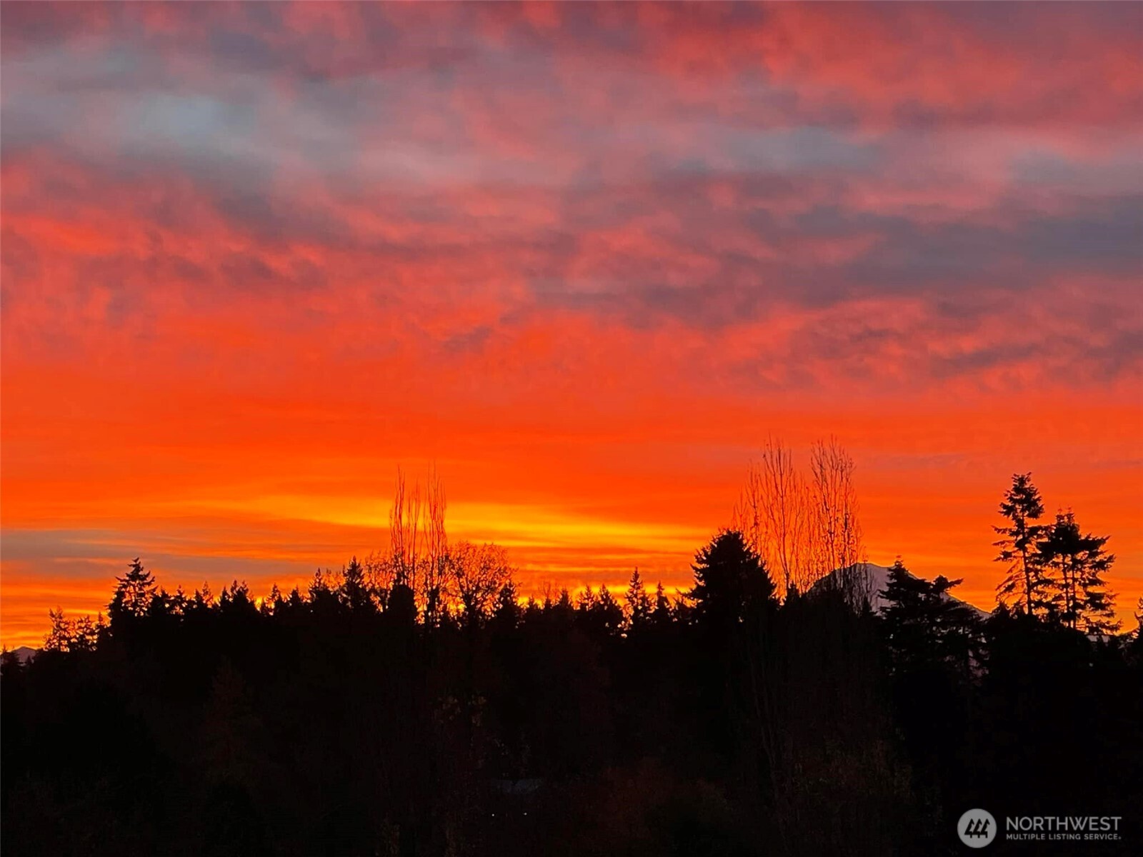 8603 Woodland Avenue E