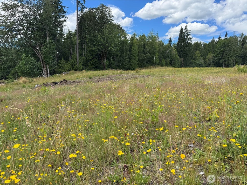 Photo of 0 328th Avenue NE, Duvall, WA 98019 (MLS # 2556279)