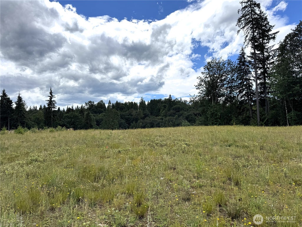 Photo of 0 328th Avenue NE, Duvall, WA 98019 (MLS # 2556279)