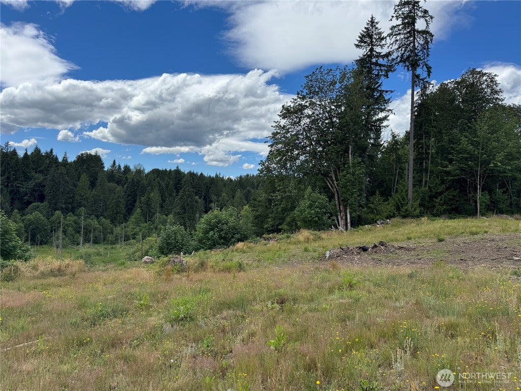Photo of 0 328th Avenue NE, Duvall, WA 98019 (MLS # 2556279)