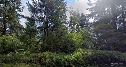 Photo of 0 Stackpole Road, Ocean Park, WA 98640 (MLS # 2360048)