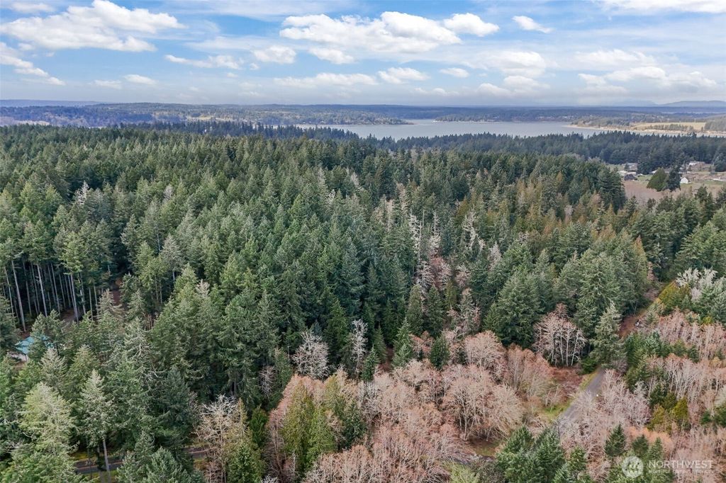 Photo of 12613 Camus Road, Anderson Island, WA 98303 (MLS # 2490874)
