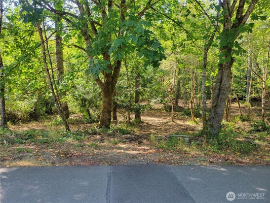 900 E WILSON WAY, GRAPEVIEW, WA 98546 - Image 6f9ddf8c3bb2dac2d8ae179158d190e0/3774836722