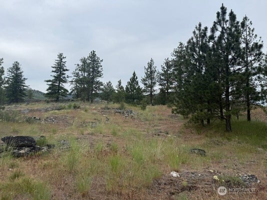 111 PATTERSON CREEK RD, TONASKET, WA 98855 - Image 6fab1bd1a026e1d32f8d83f4cff746cf/39390874