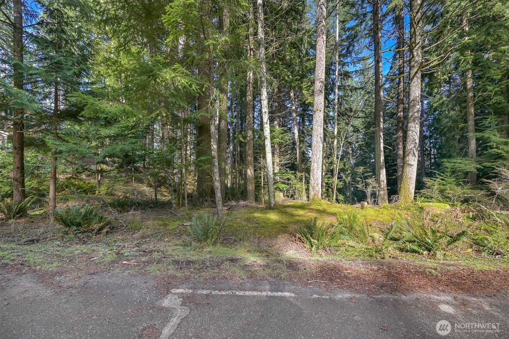 Photo of 21 Bramble Way, Bellingham, WA 98229 (MLS # 2483598)