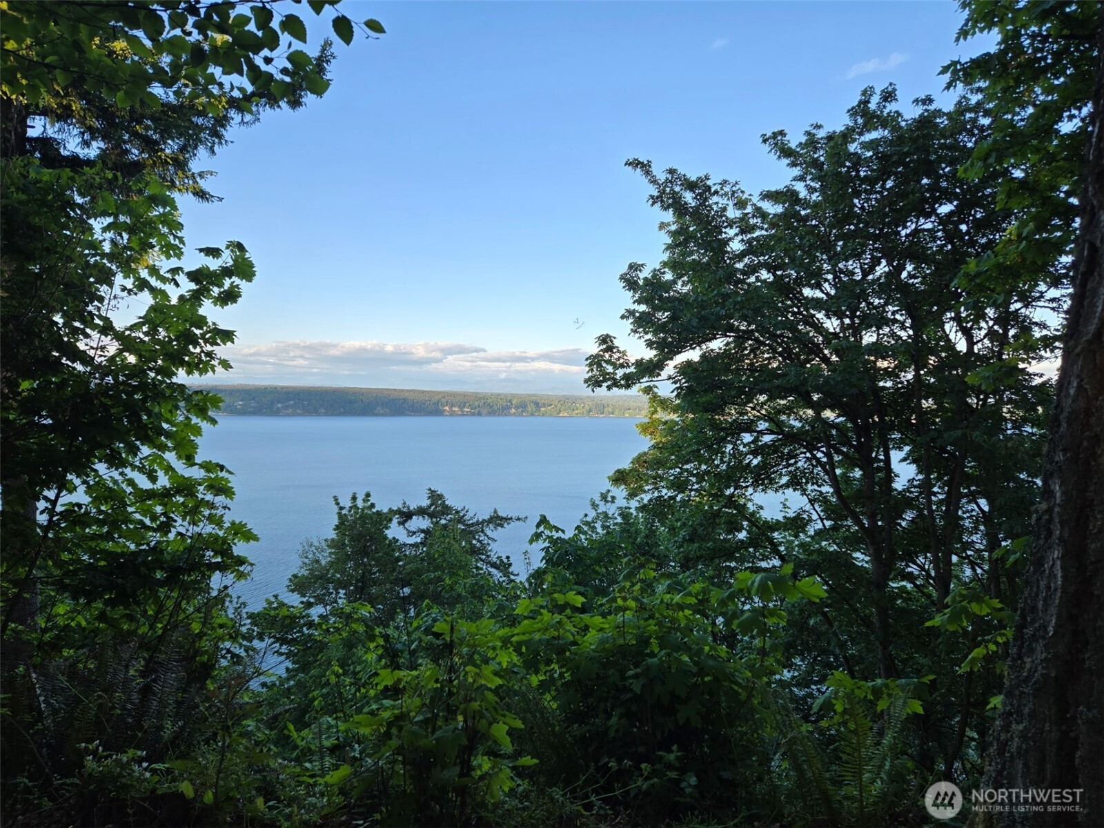 4203 SE Camano Drive