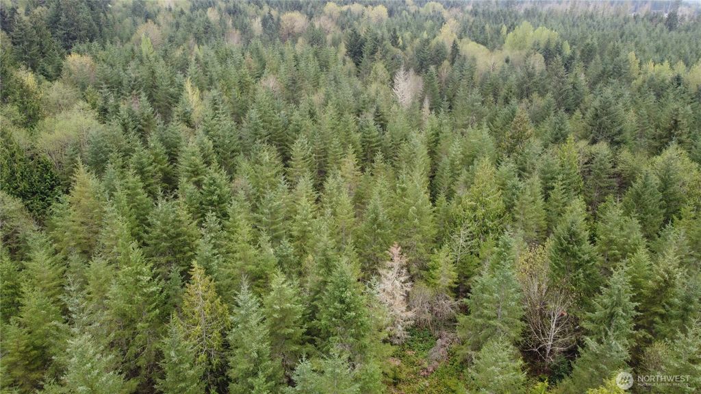 Photo of 0 164th Street E, Buckley, WA 98321 (MLS # 2471952)