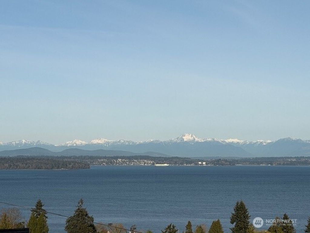 Photo of 7341 California Avenue SW, Seattle, WA 98136 (MLS # 2495475)