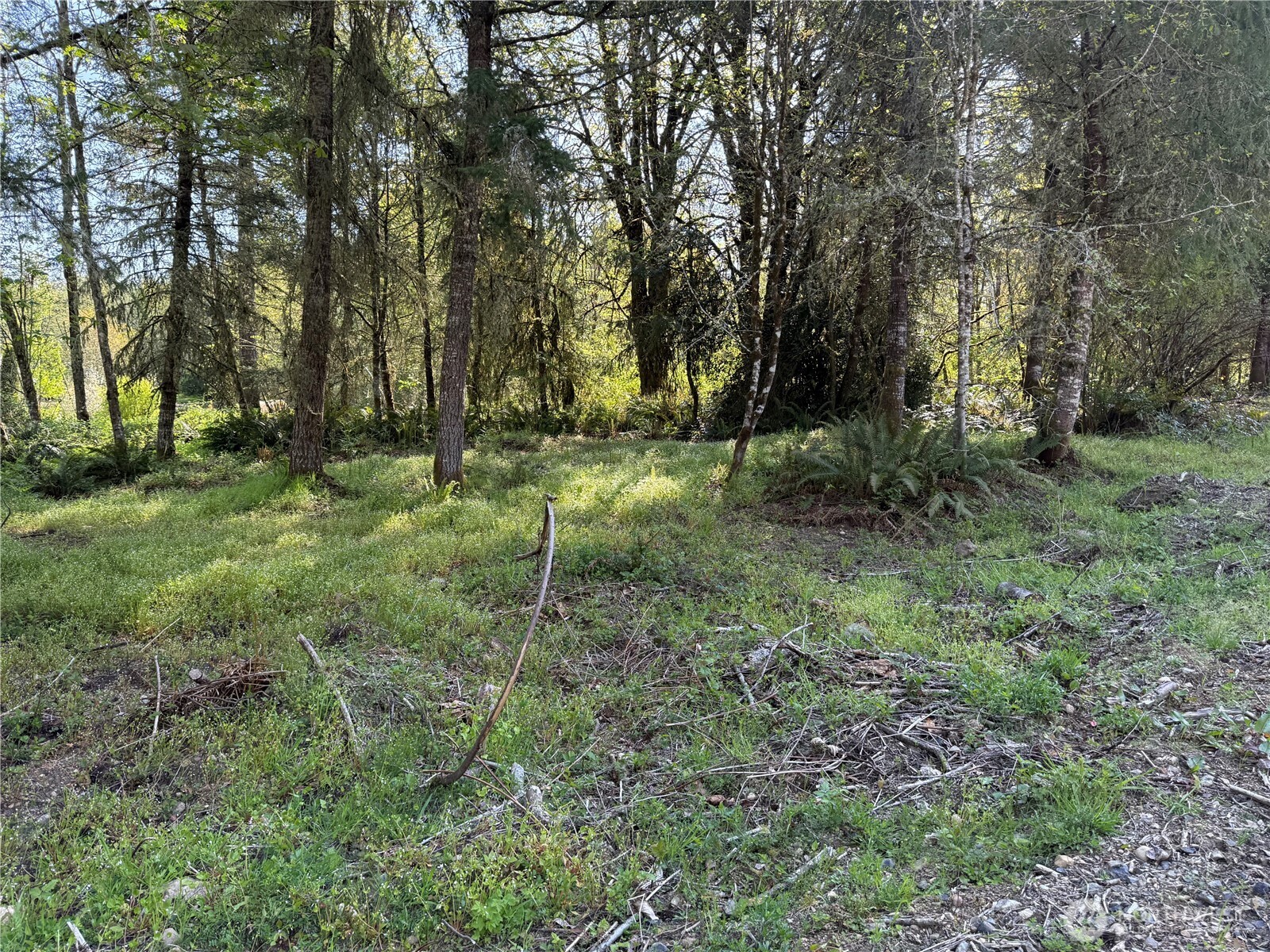 2103 150th Lane SE