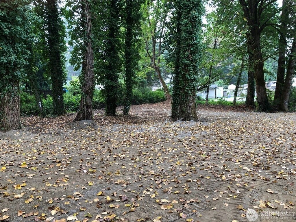 Photo of 0 street NE 156th Street, Woodinville, WA 98072 (MLS # 2347648)