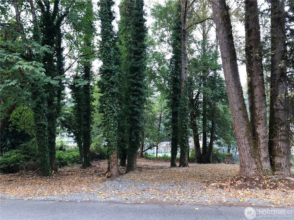 Photo of 0 street NE 156th Street, Woodinville, WA 98072 (MLS # 2347648)