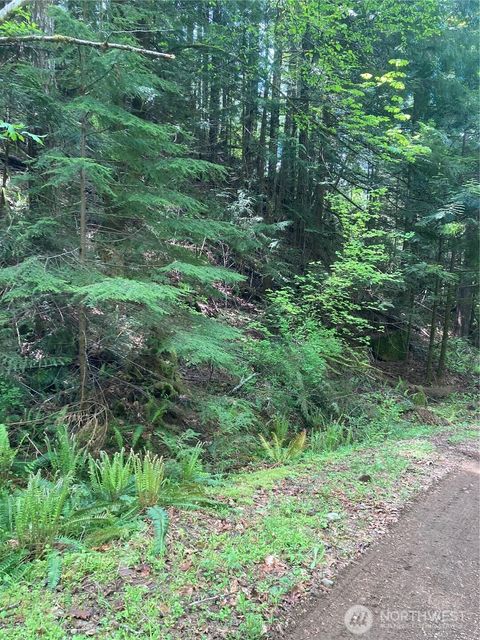 12 Dow Ridge Road Hoodsport WA 98548