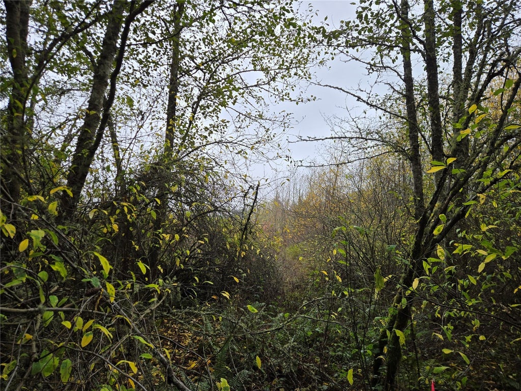 Photo of 9999 Highway 101, Sequim, WA 98382 (MLS # 2597888)