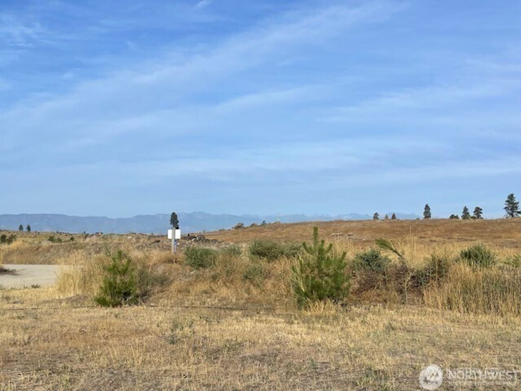 Photo of 284 Harmony Heights Road, Brewster, WA 98812 (MLS # 2446475)