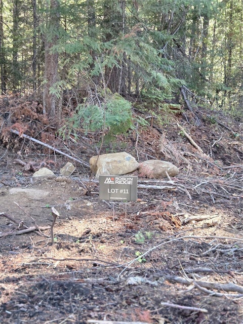 Photo of 11 Rock Cress Lane, Ronald, WA 98940 (MLS # 2595424)