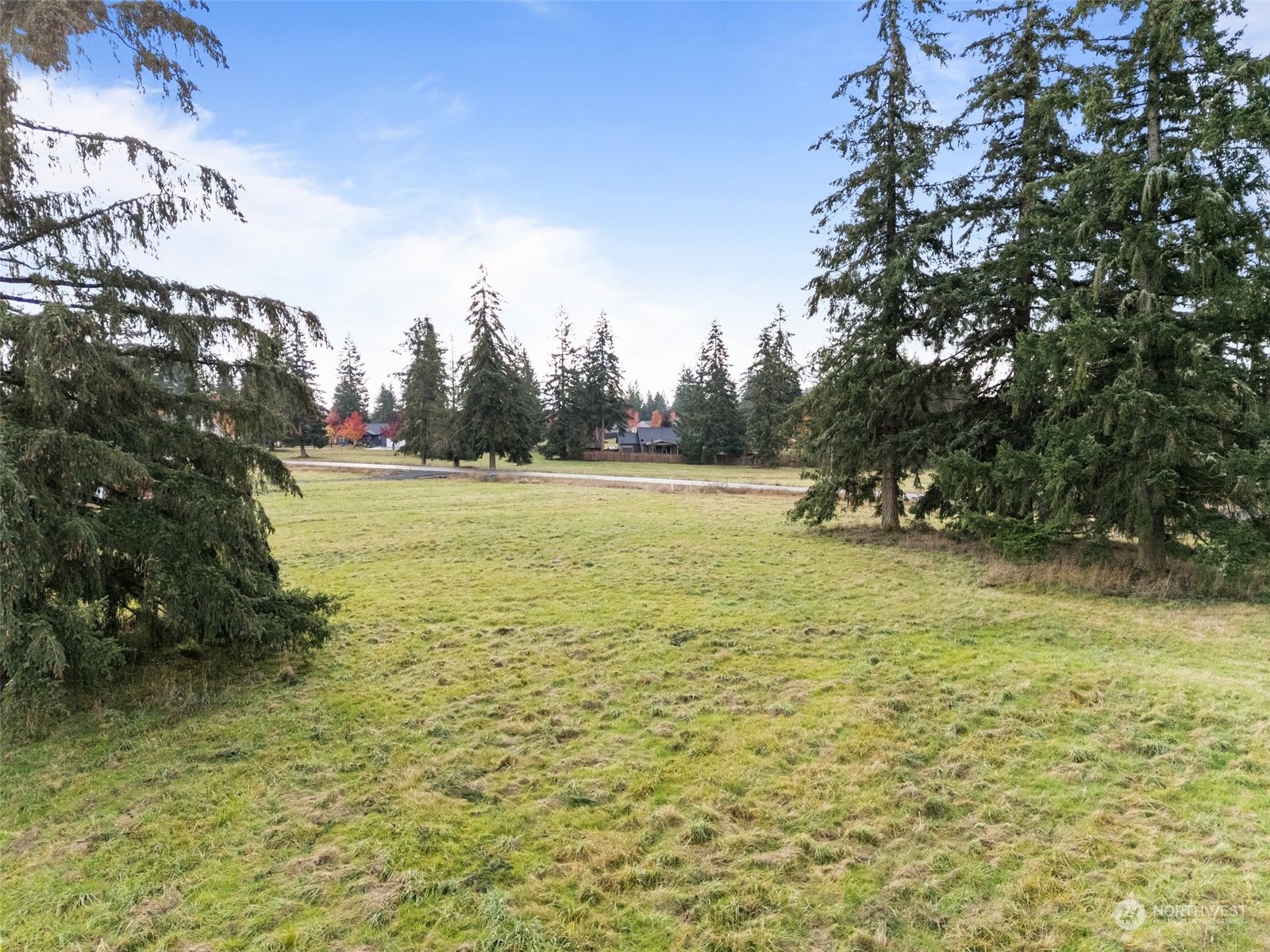 142 Birchfield Commons